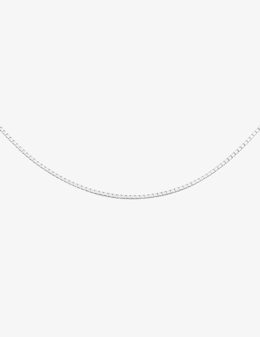 Sidabrinė grandinėlė “Spindesys”