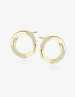 Įsmeigiami auskarai Apskritimai